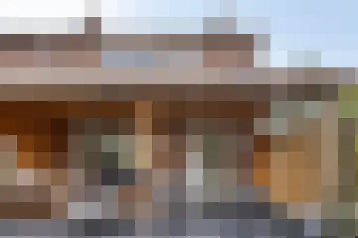 Seringenlaan 82 Steenbergen thumbnail 25