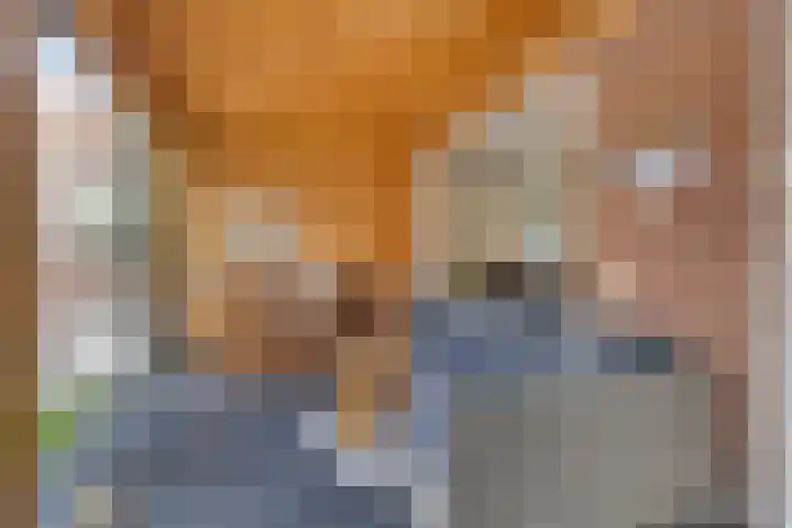 Seringenlaan 82 Steenbergen thumbnail 5