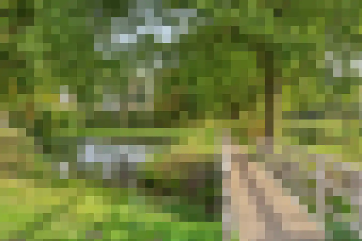 Seringenlaan 88 Steenbergen thumbnail 12