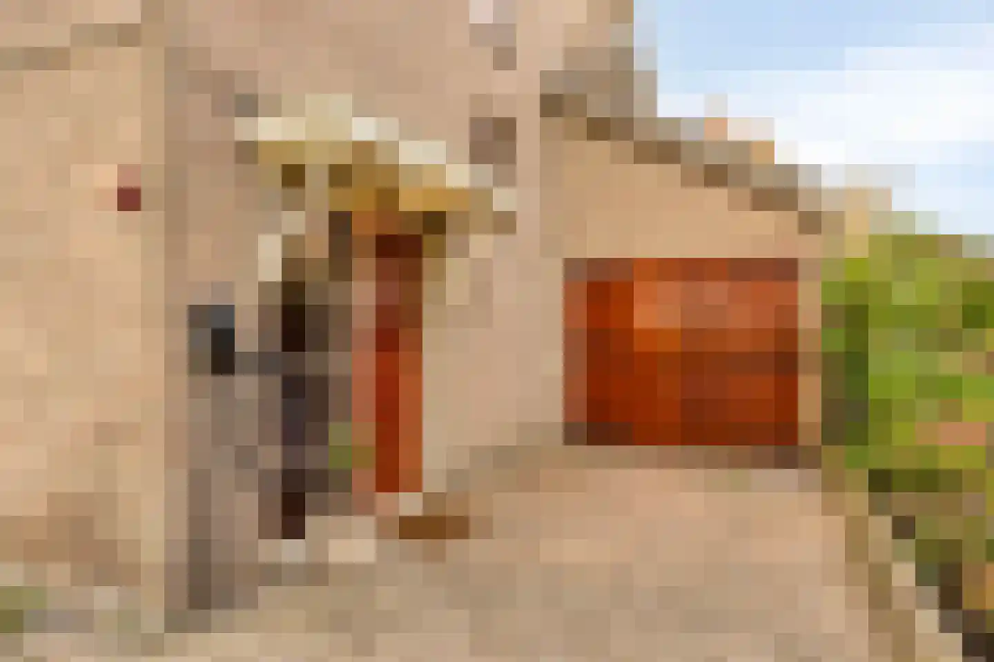 Seringenlaan 88 Steenbergen thumbnail 14