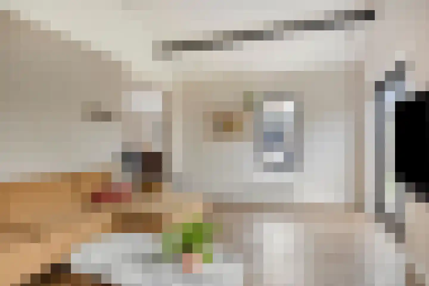 Seringenlaan 88 Steenbergen thumbnail 18