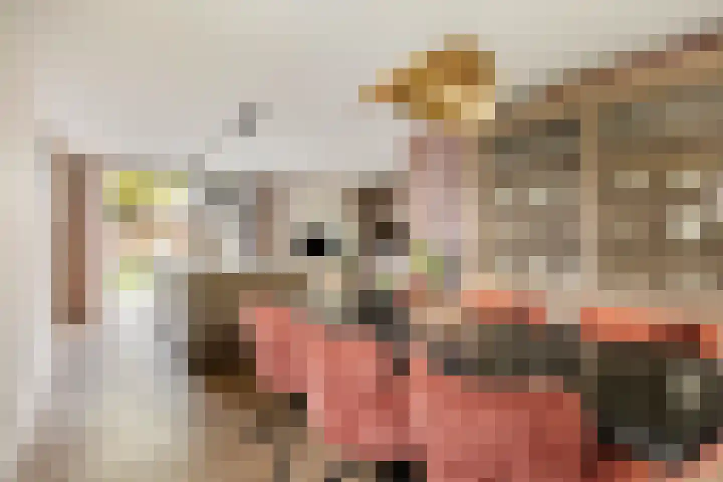 Seringenlaan 88 Steenbergen thumbnail 19