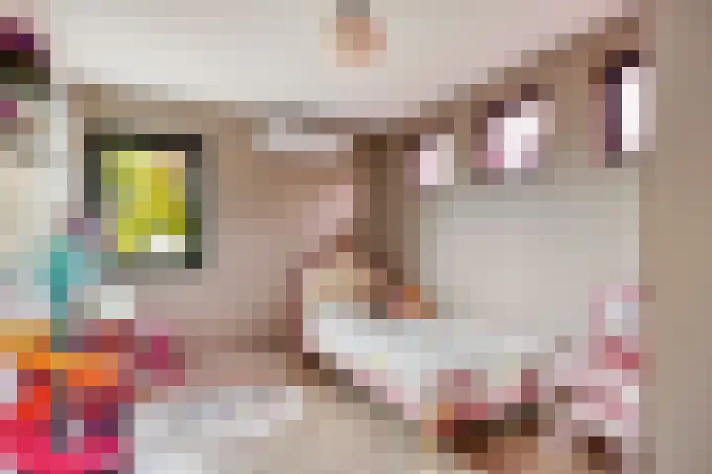 Seringenlaan 88 Steenbergen thumbnail 26