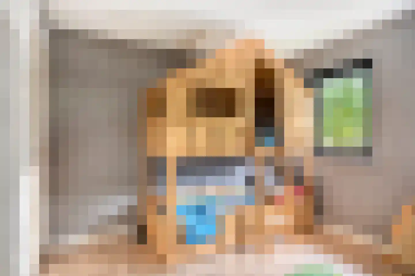 Seringenlaan 88 Steenbergen thumbnail 30