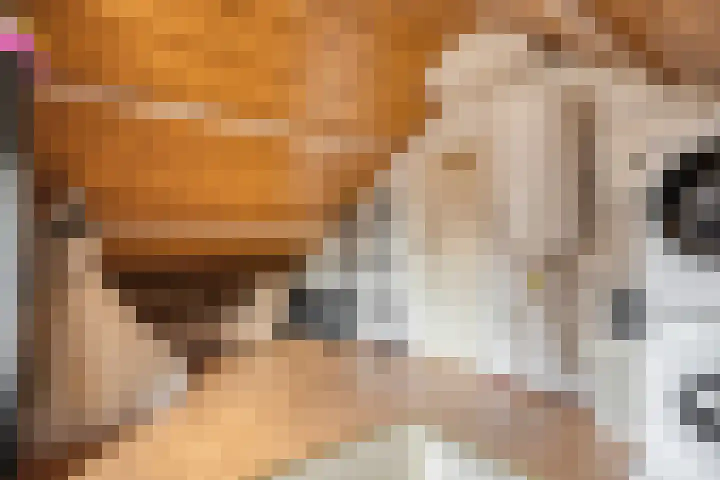 Seringenlaan 88 Steenbergen thumbnail 31