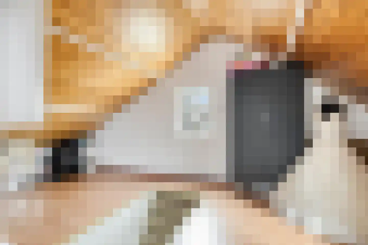 Seringenlaan 88 Steenbergen thumbnail 32