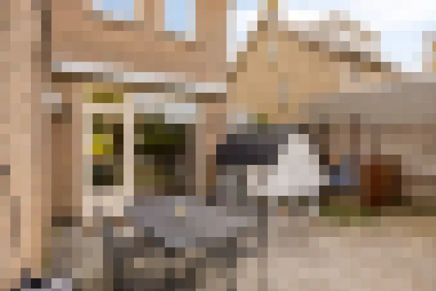 Seringenlaan 88 Steenbergen thumbnail 35