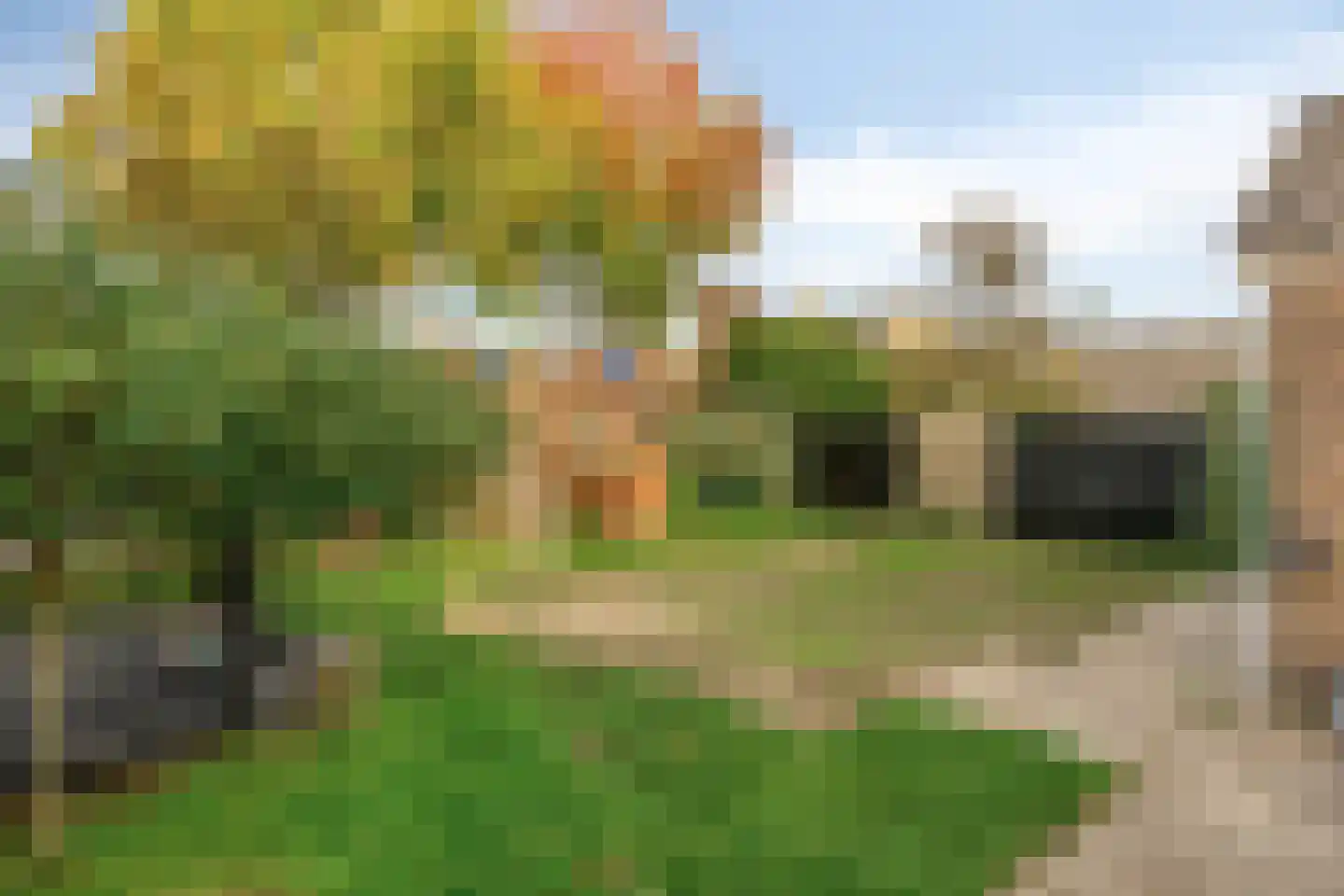 Seringenlaan 88 Steenbergen thumbnail 36