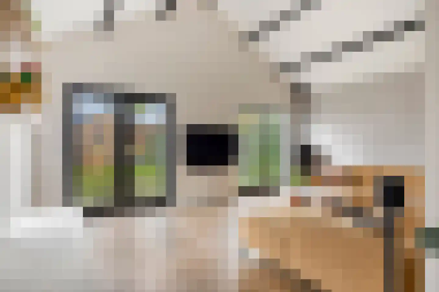 Seringenlaan 88 Steenbergen thumbnail 4
