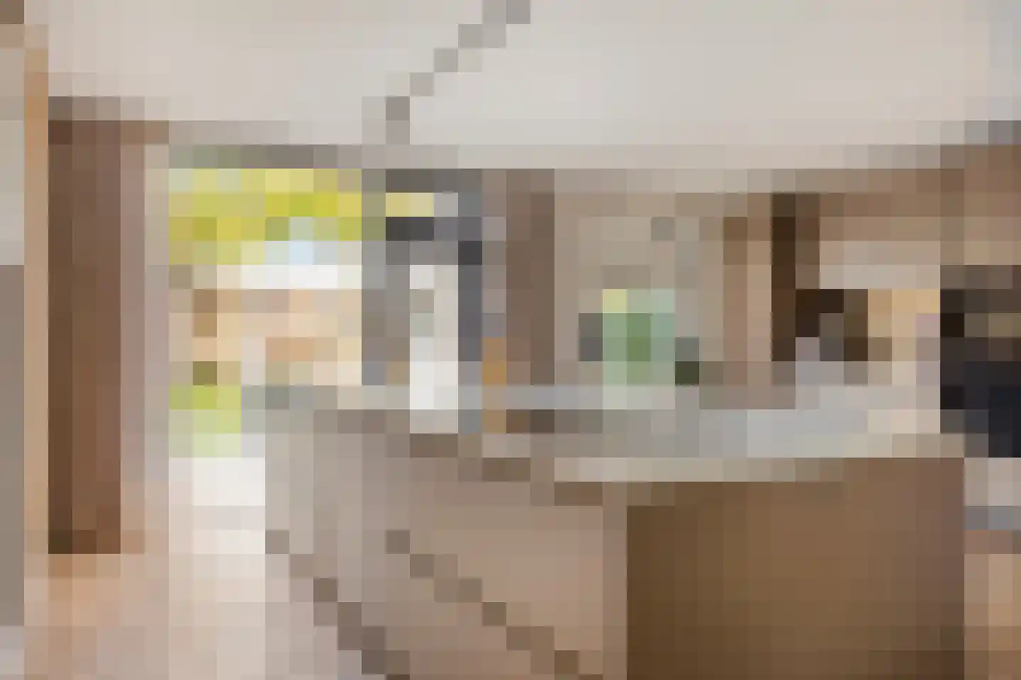 Seringenlaan 88 Steenbergen thumbnail 5