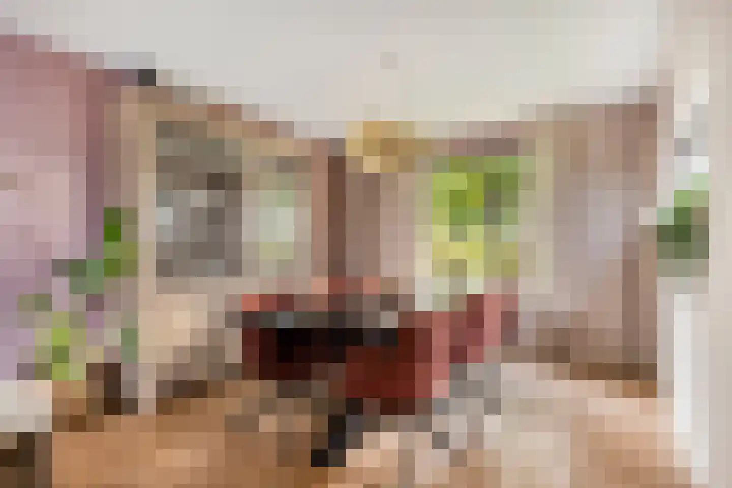 Seringenlaan 88 Steenbergen thumbnail 6