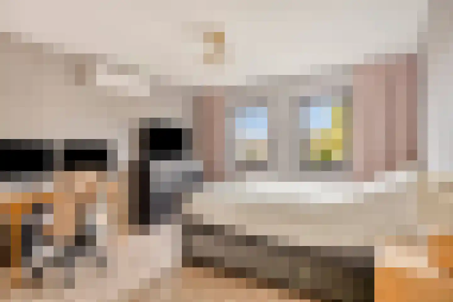 Seringenlaan 88 Steenbergen thumbnail 7