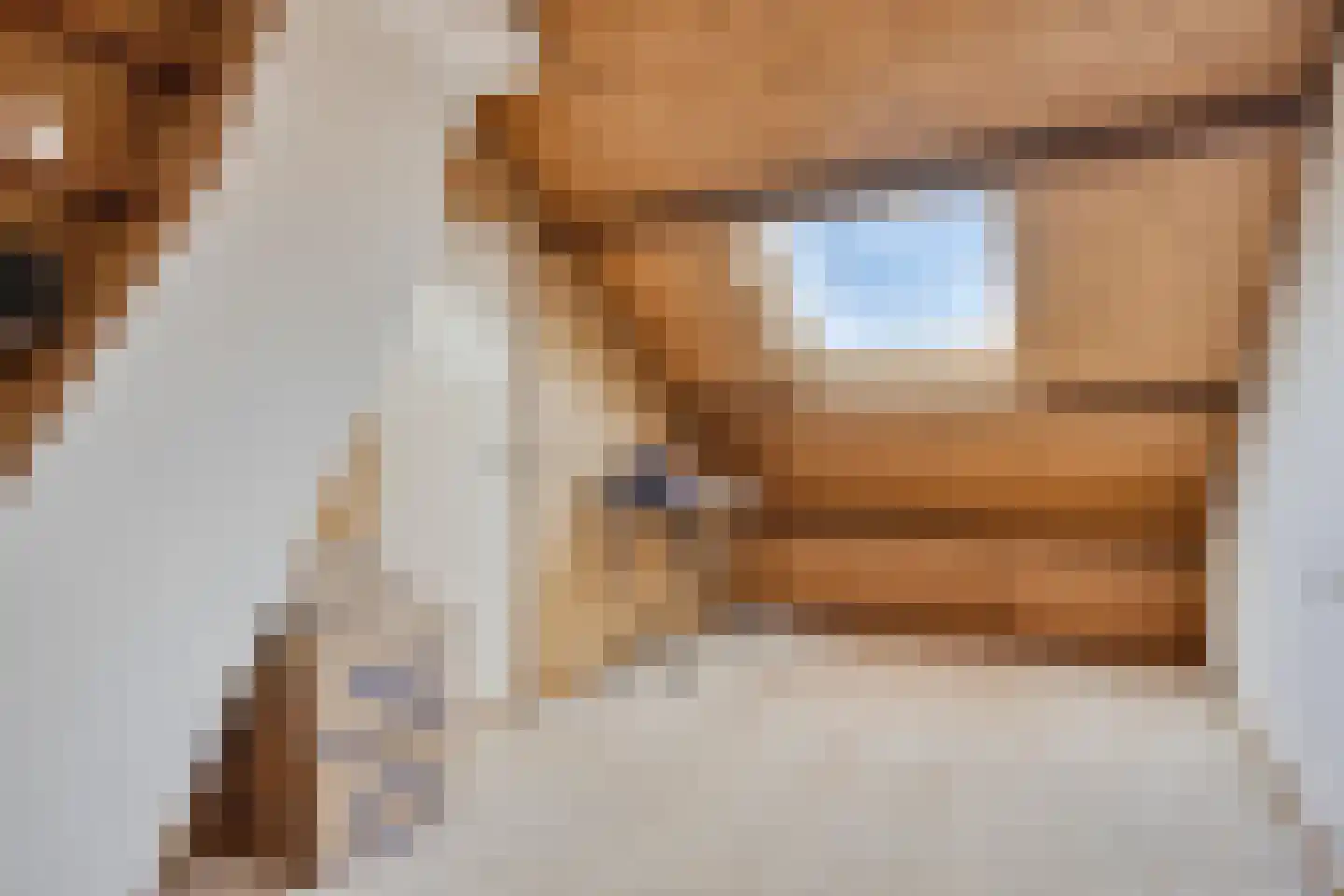 Seringenlaan 88 Steenbergen thumbnail 9