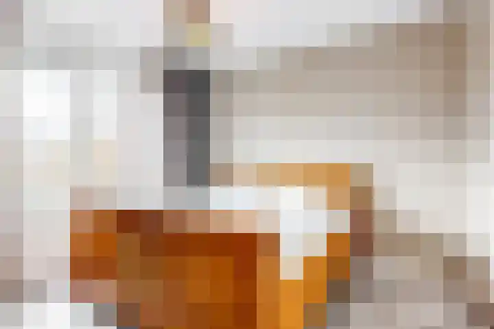 Seringenlint 47 Limmen thumbnail 12