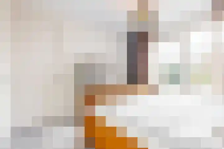 Seringenlint 47 Limmen thumbnail 13
