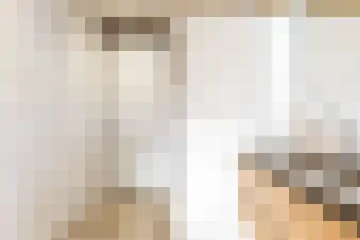 Seringenlint 47 Limmen thumbnail 15