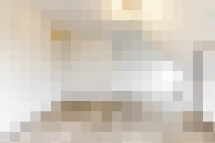Seringenlint 47 Limmen thumbnail 21