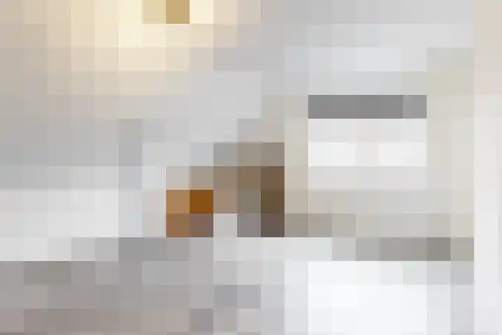 Seringenlint 47 Limmen thumbnail 24