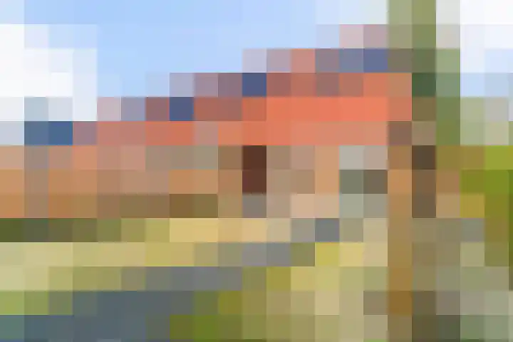 Seringenlint 47 Limmen thumbnail 28