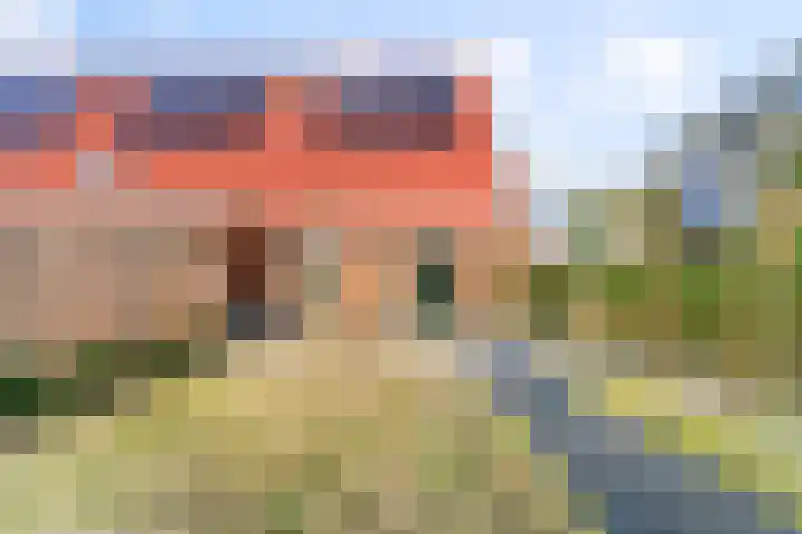 Seringenlint 47 Limmen thumbnail 31