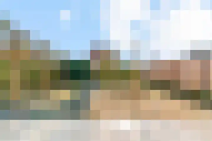 Seringenlint 47 Limmen thumbnail 32