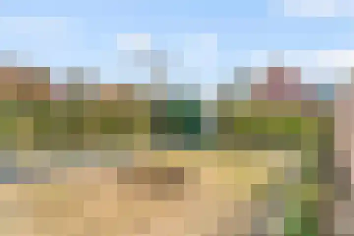 Seringenlint 47 Limmen thumbnail 33