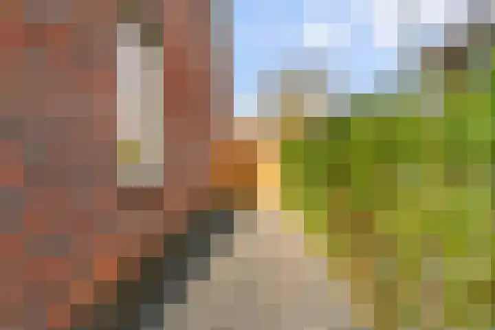 Seringenlint 47 Limmen thumbnail 34