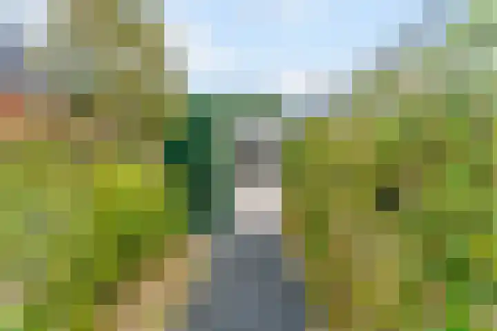 Seringenlint 47 Limmen thumbnail 35