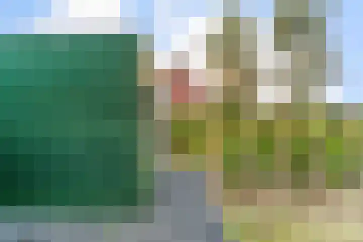 Seringenlint 47 Limmen thumbnail 36