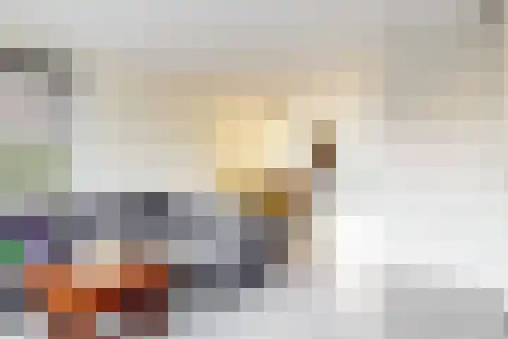 Seringenlint 47 Limmen thumbnail 4