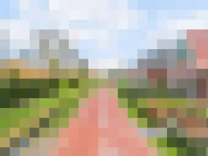Seringenlint 47 Limmen thumbnail 40