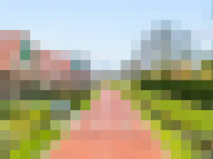 Seringenlint 47 Limmen thumbnail 41