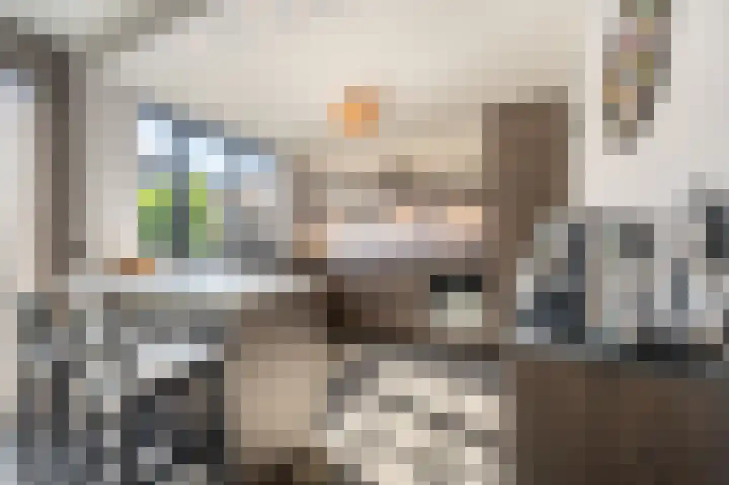 Seringenpad 16 Zuid-Beijerland thumbnail 10