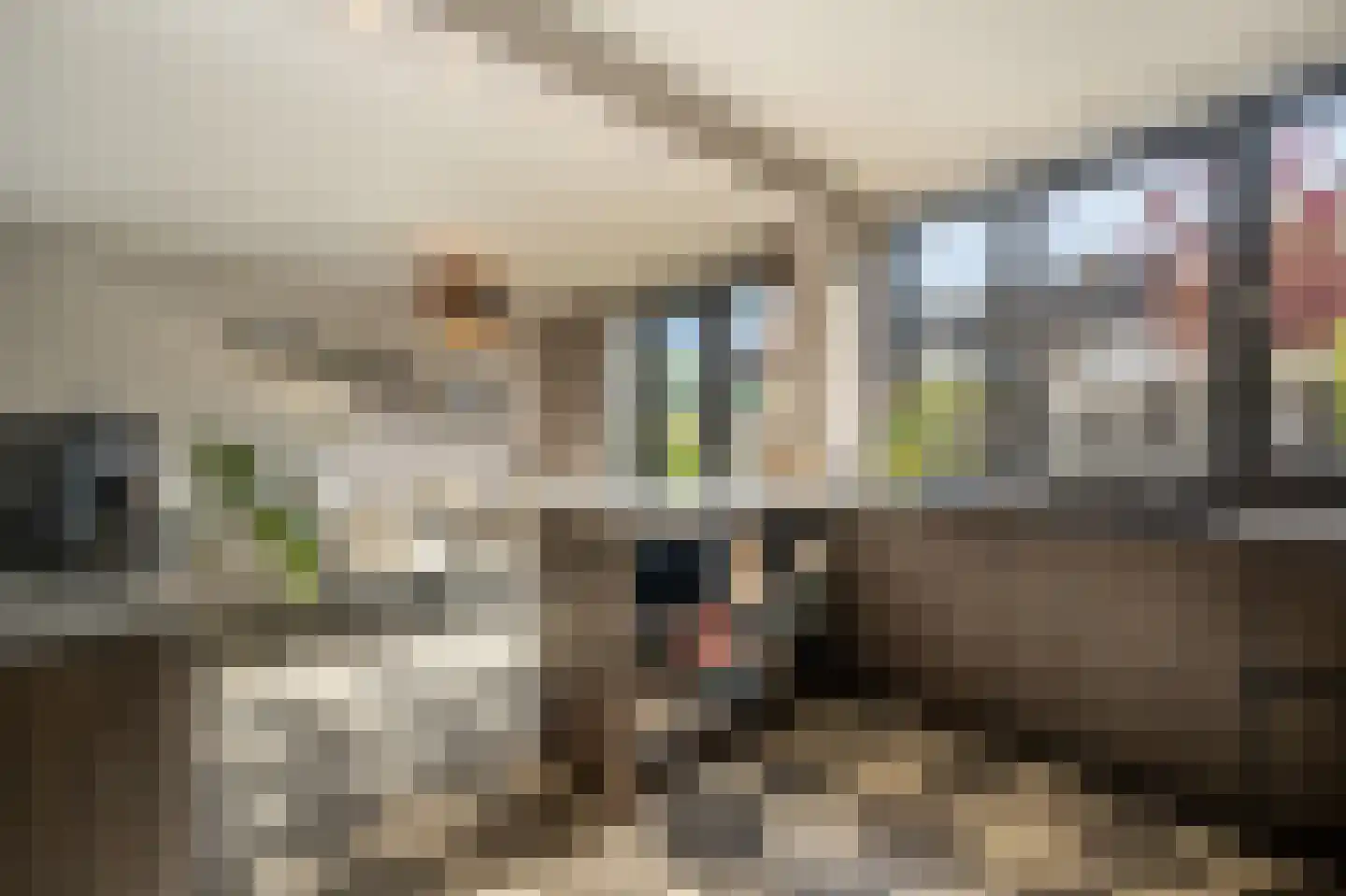 Seringenpad 16 Zuid-Beijerland thumbnail 13