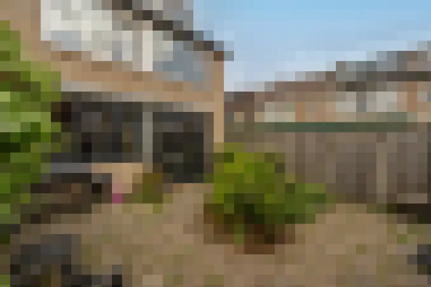Seringenpad 16 Zuid-Beijerland thumbnail 14