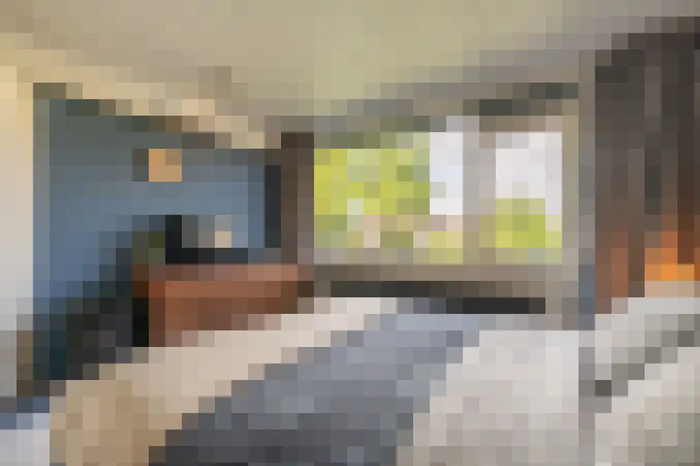 Seringenpad 16 Zuid-Beijerland thumbnail 20