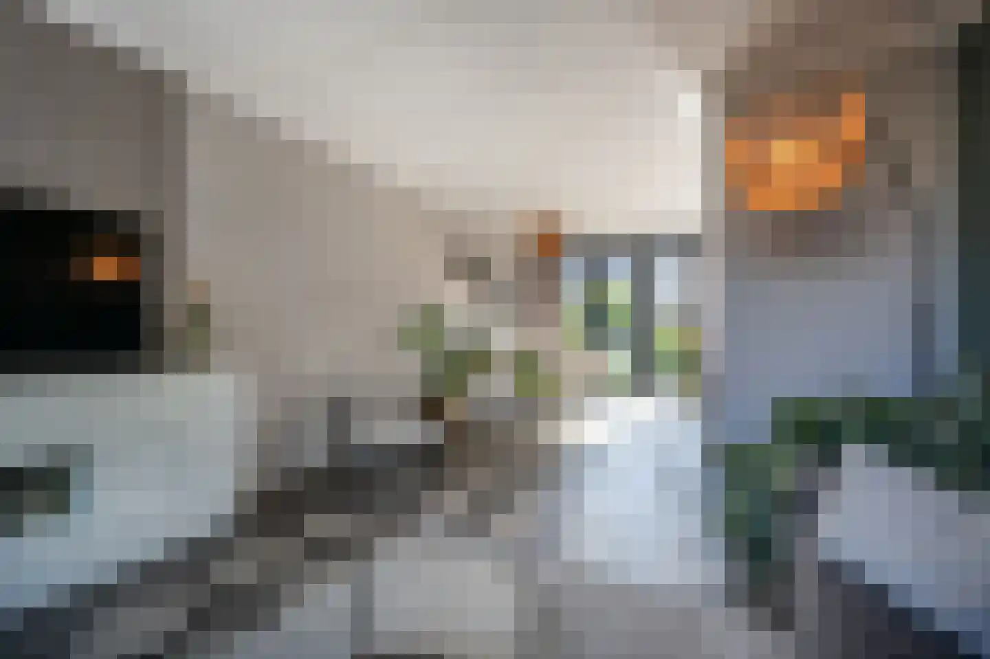 Seringenpad 16 Zuid-Beijerland thumbnail 6