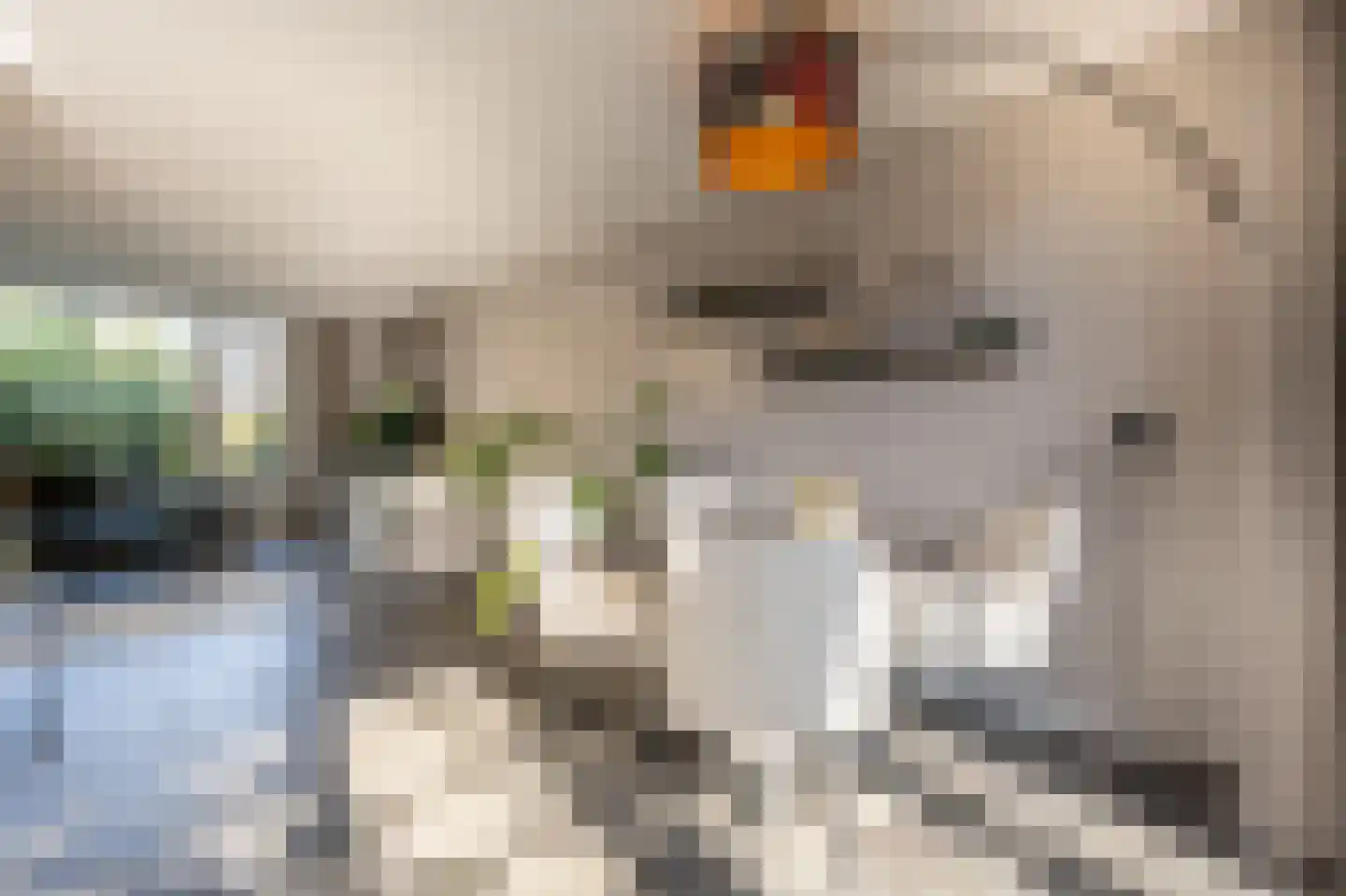 Seringenpad 16 Zuid-Beijerland thumbnail 7