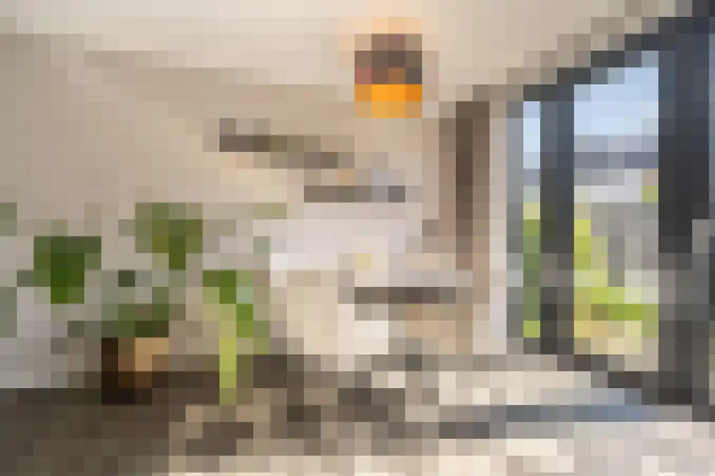 Seringenpad 16 Zuid-Beijerland thumbnail 8