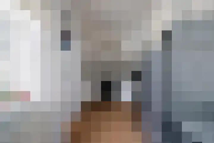 Seringenpad 7 Hoogland thumbnail 14