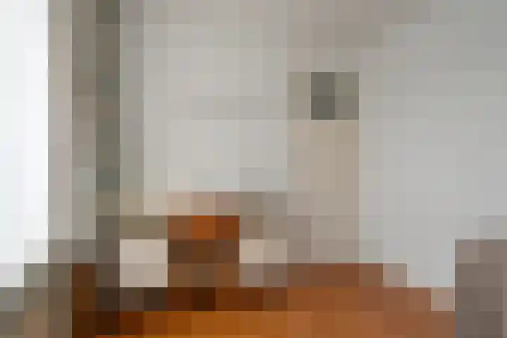 Seringenpad 7 Hoogland thumbnail 22