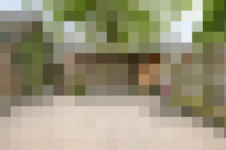 Seringenpad 7 Hoogland thumbnail 28