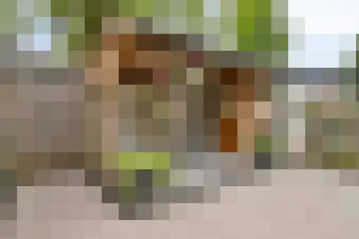 Seringenpad 7 Hoogland thumbnail 29