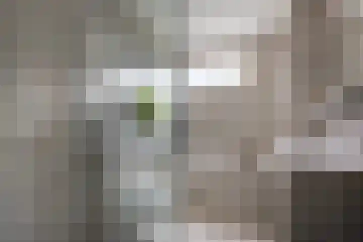 Seringenpark 15 Zoetermeer thumbnail 19