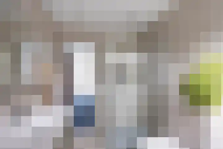 Seringenpark 15 Zoetermeer thumbnail 20