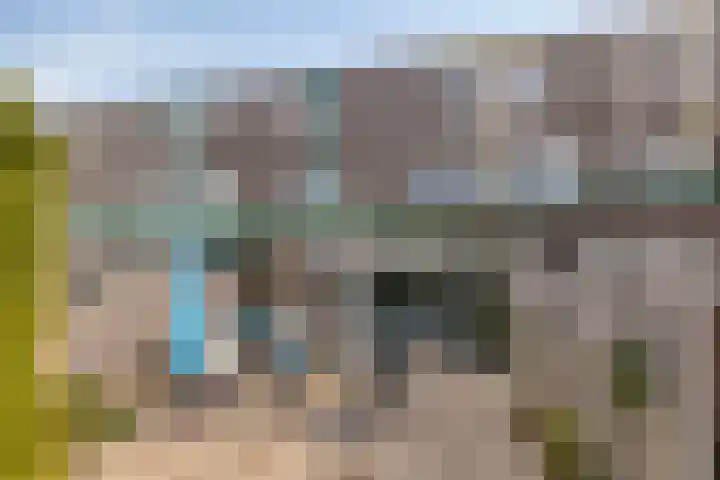 Seringenpark 15 Zoetermeer thumbnail 31