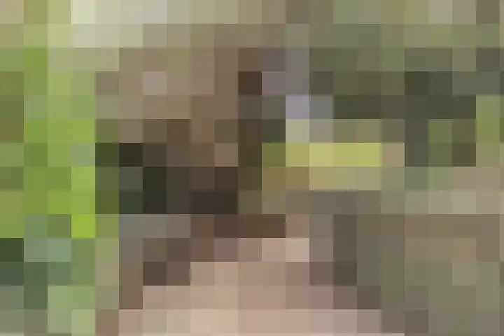 Seringenpark 15 Zoetermeer thumbnail 36