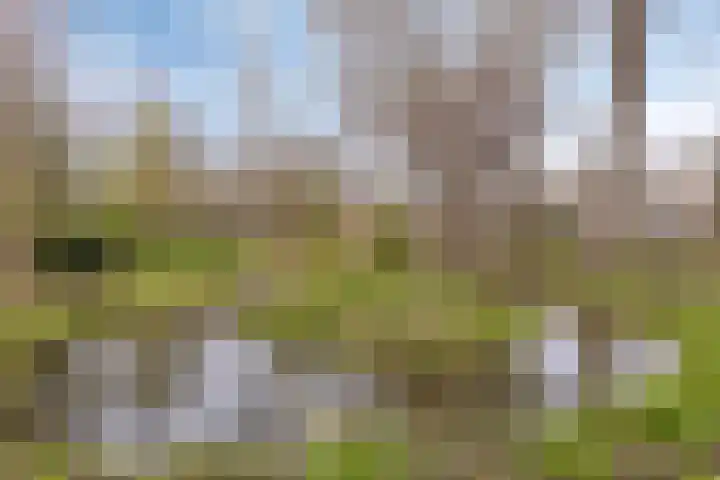 Seringenpark 15 Zoetermeer thumbnail 37