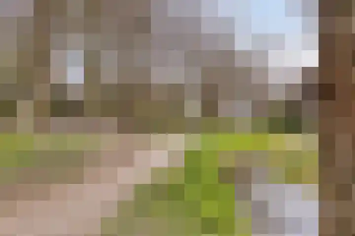 Seringenpark 15 Zoetermeer thumbnail 38