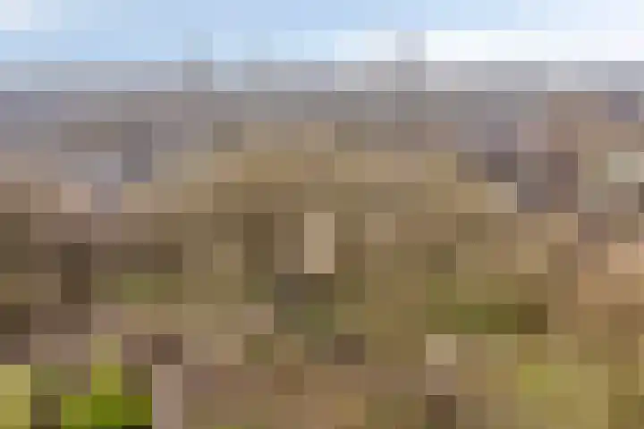 Seringenpark 15 Zoetermeer thumbnail 39